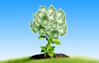 Forex money management