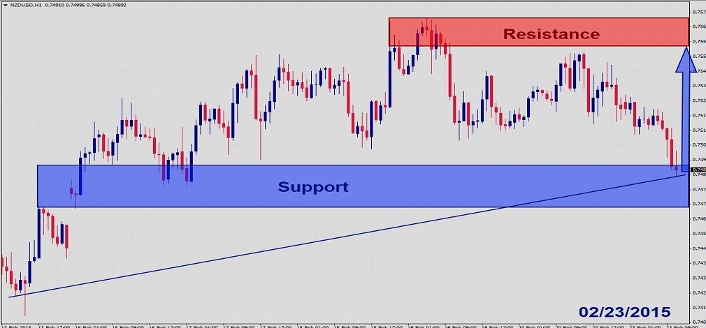 NZDUSD Fundamental Analysis – February 23rd 20151
