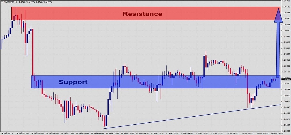 USDCAD Fundamental Analysis – March 4th 20151